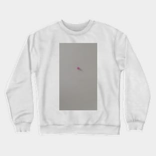 ball on ceiling Crewneck Sweatshirt